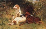 unknow artist Some Dogs oil painting on canvas
